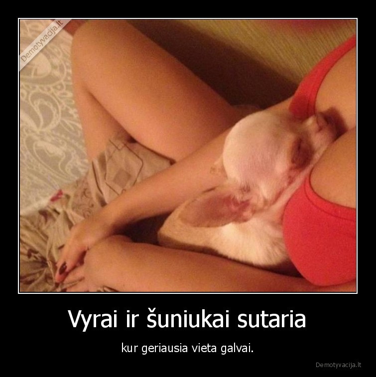suniukas,galva,papai,mergina