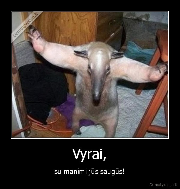 Vyrai,