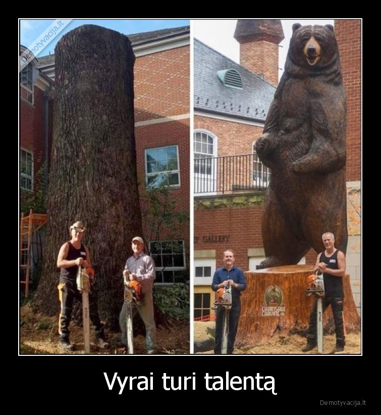 talentas,medis,meska