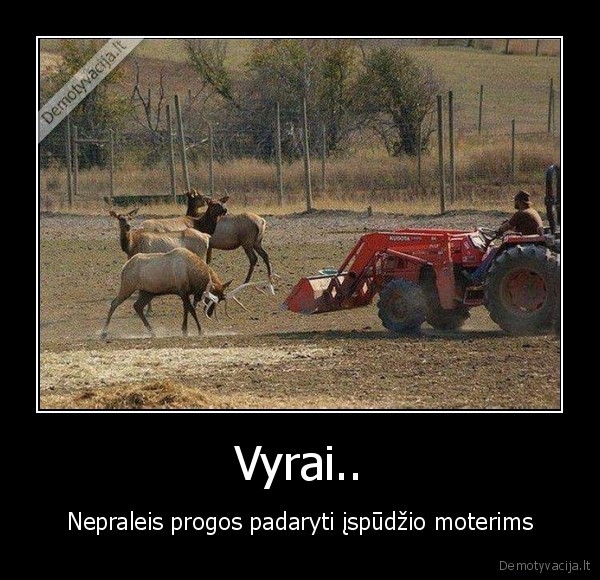 Vyrai..