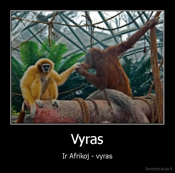 tikras, vyras,dzentelmenas,bezdzione