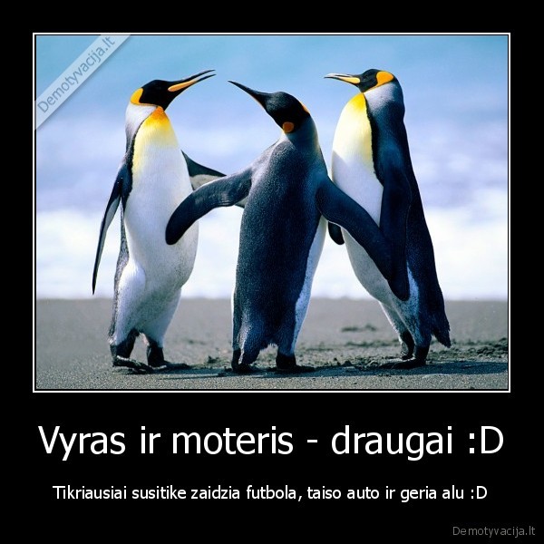 Vyras ir moteris - draugai :D