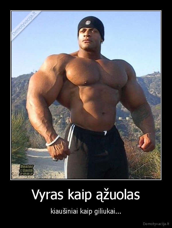 Vyras kaip ąžuolas