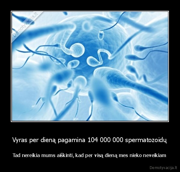 spermatozoidai,aktyvus, vyras