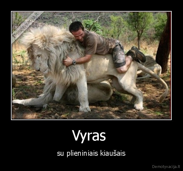 Vyras 