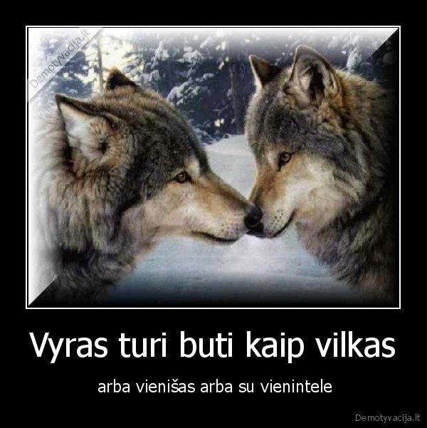 vyras,vilkas,vienintele