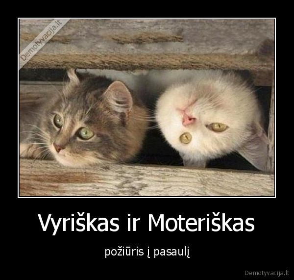 vyrai,moterys