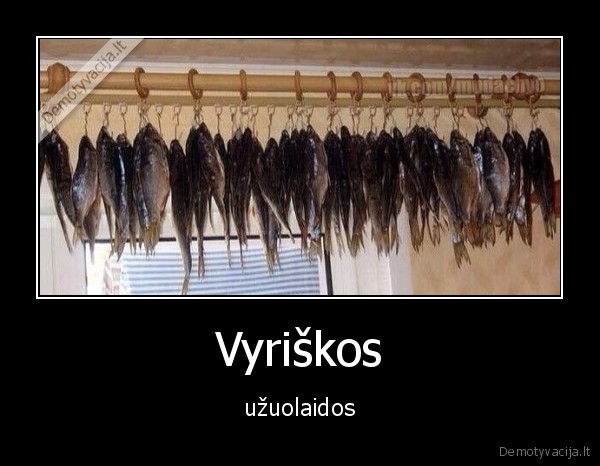 zuvis,alus,uzuolaidos