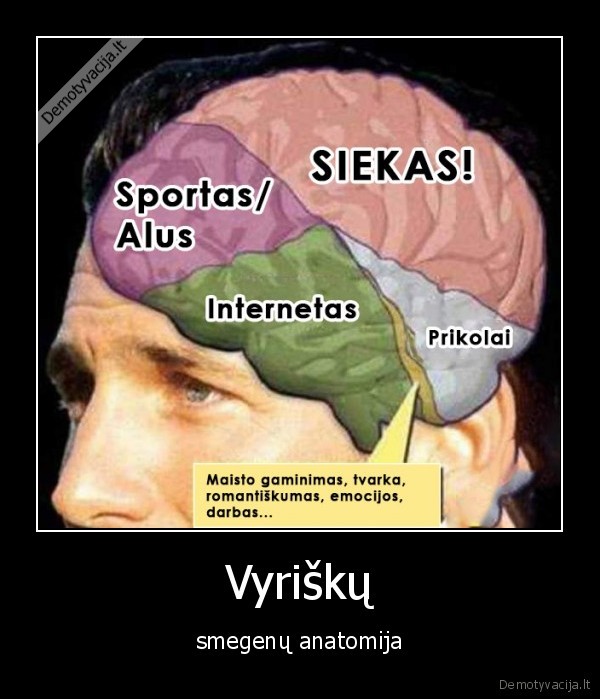 vyrai,smegenys