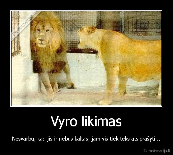 Vyro likimas