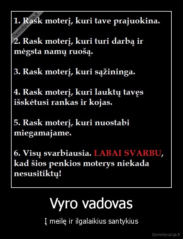 Vyro vadovas