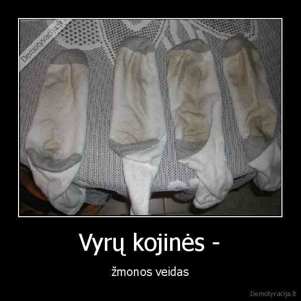 pastaciau, i, kampa, kojines