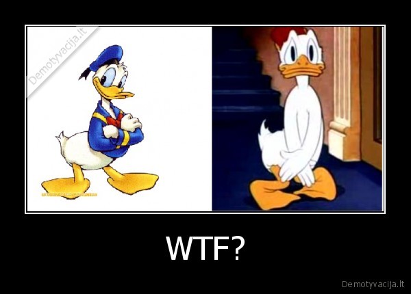 WTF?