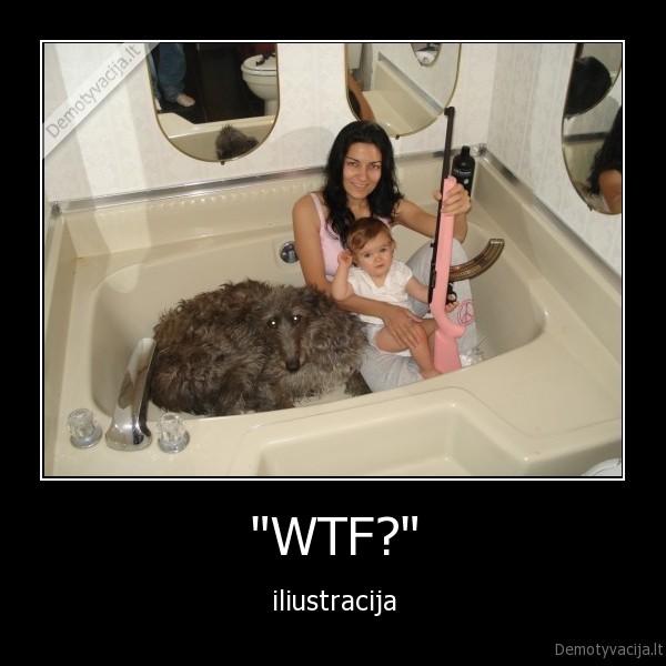 &quot;WTF?&quot;
