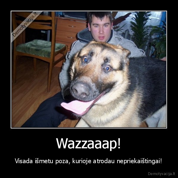 Wazzaaap!