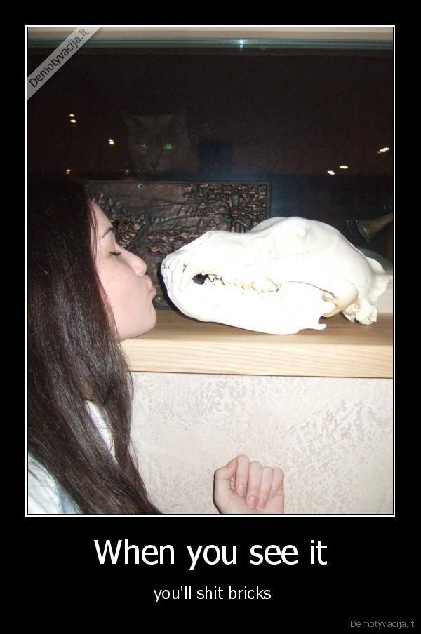 pedo, cat