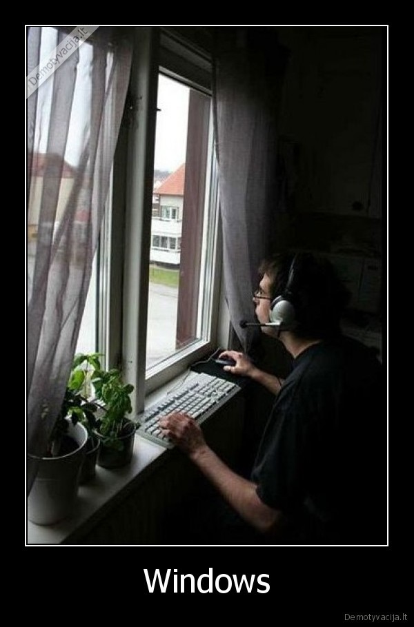 Windows