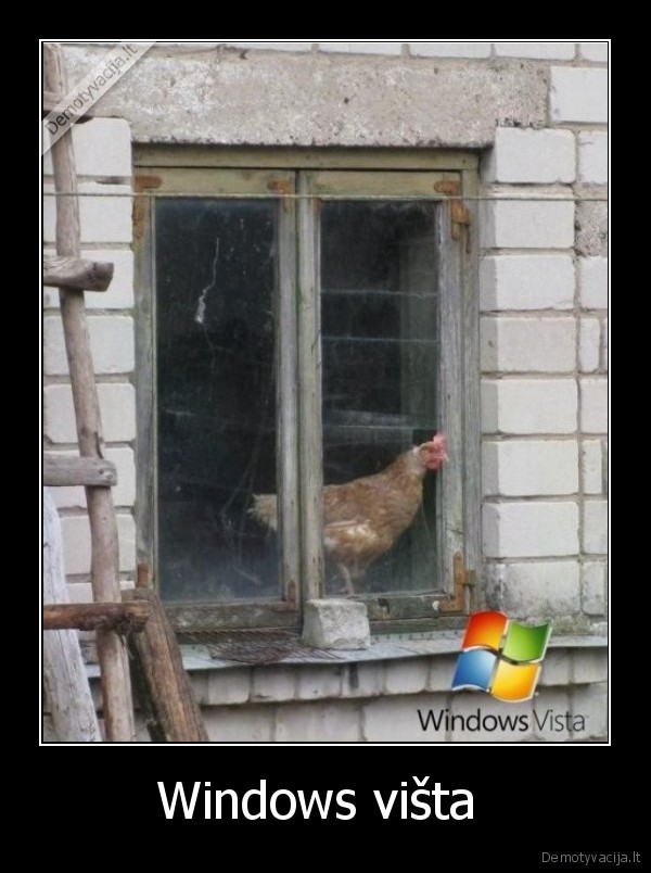 windows, vista, kompiuteris, kompas