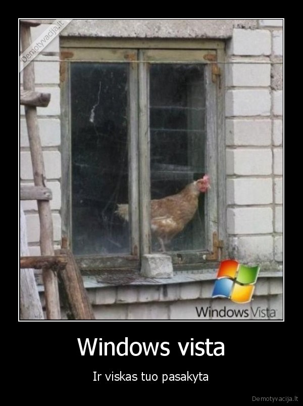 Windows vista