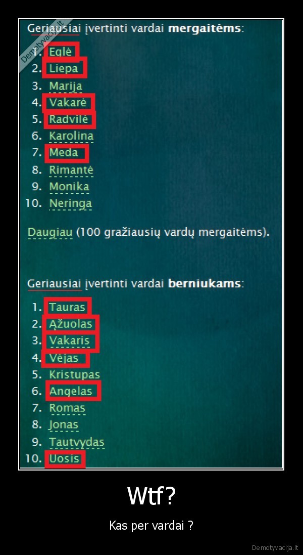 Wtf?