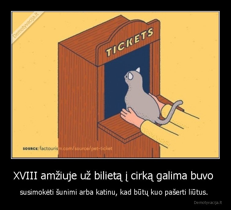 katinas,suo,bilietas,cirkas