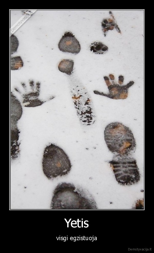 yeti