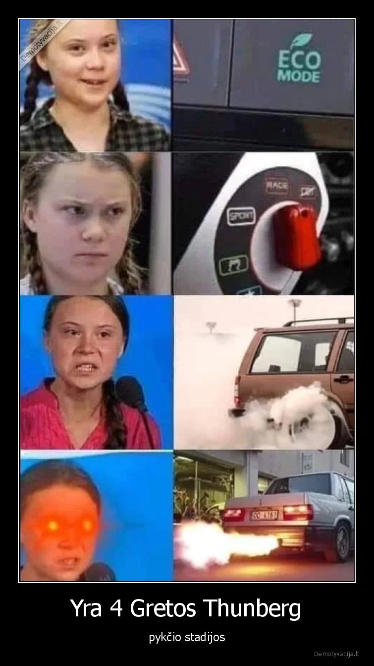 greta, thunberg,pyktis,stadija