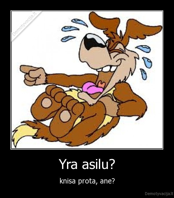 Yra asilu?