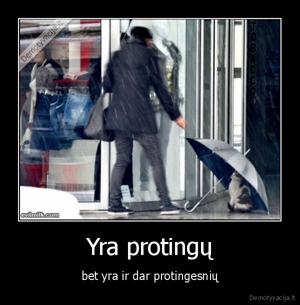 Yra protingų