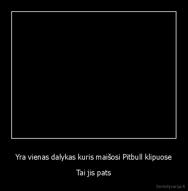 pitbull,bobos,sugadintas, video,papai