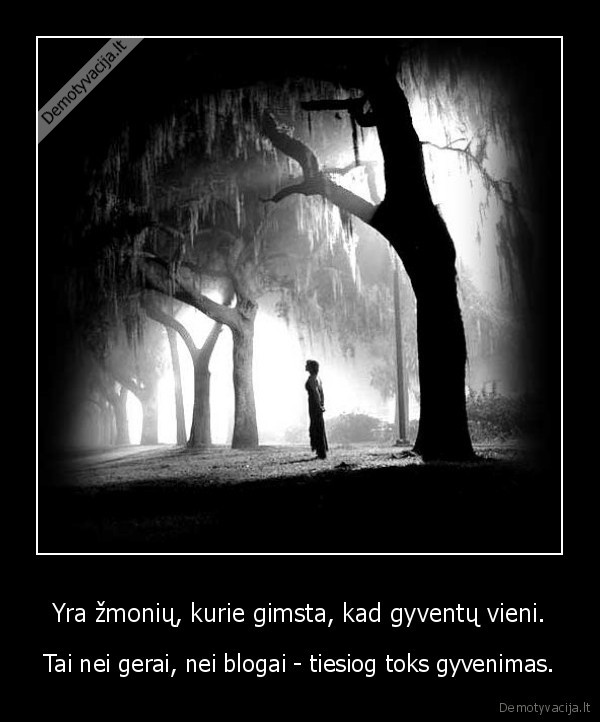 vienatve,gyvenimas