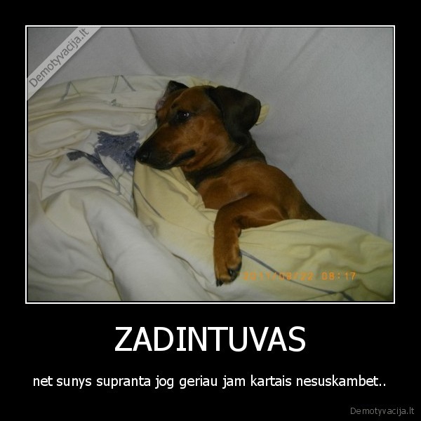 ZADINTUVAS