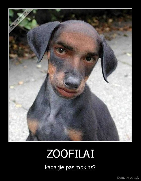 ZOOFILAI