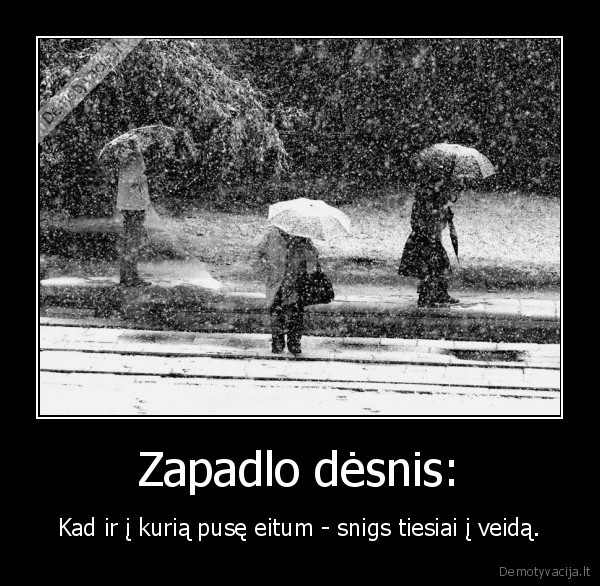 Zapadlo dėsnis: