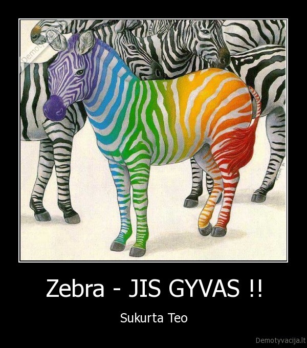 Zebra - JIS GYVAS !!
