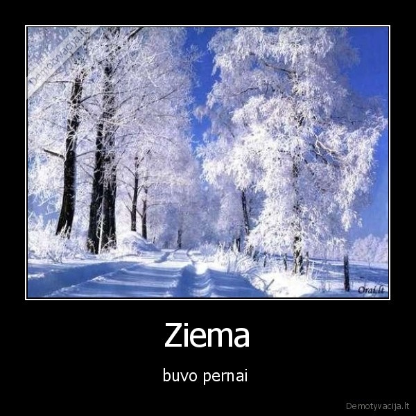 Ziema