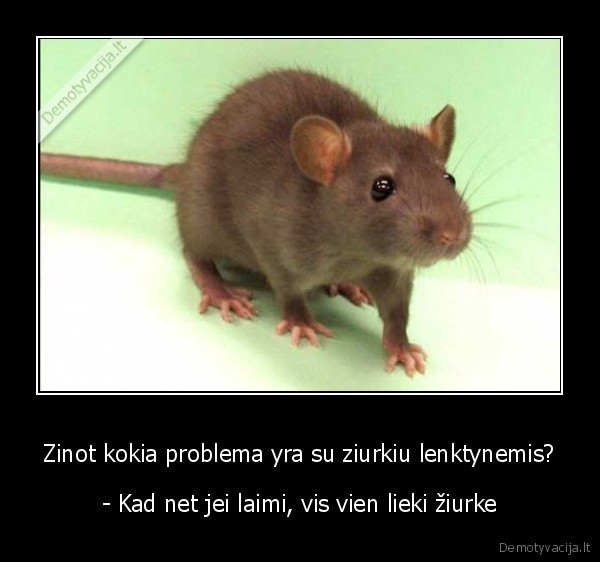 ziurke,koja,ranka