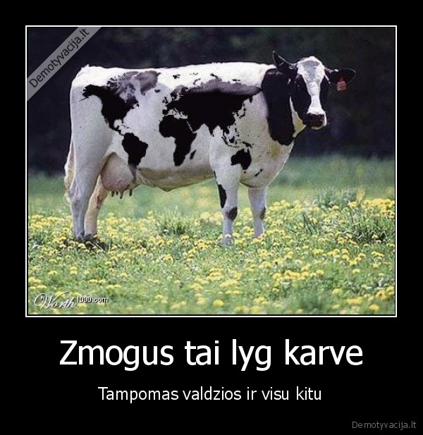 tampymas, gerai