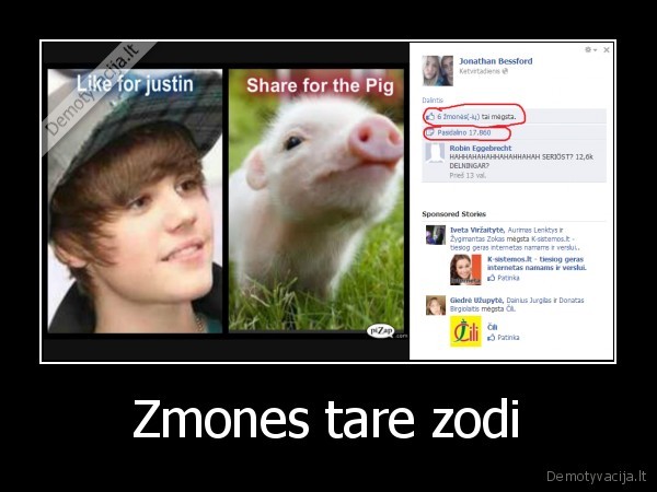 kiaule,zmones,justin