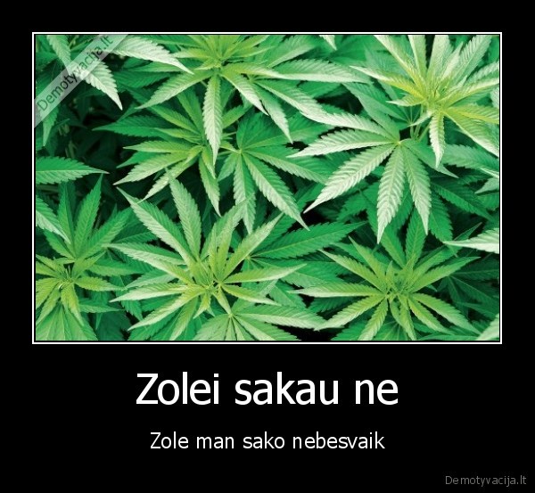 Zolei sakau ne