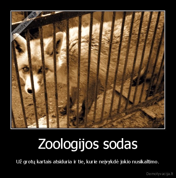 lape,zoologijos, sodas,kalejimas