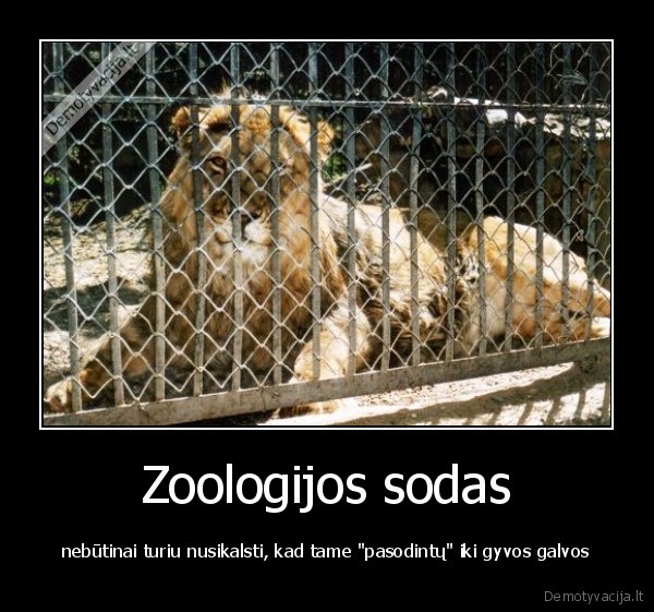 kalejimas,nusikaltimas,gyvunai,zoologijos, sodas,zoo