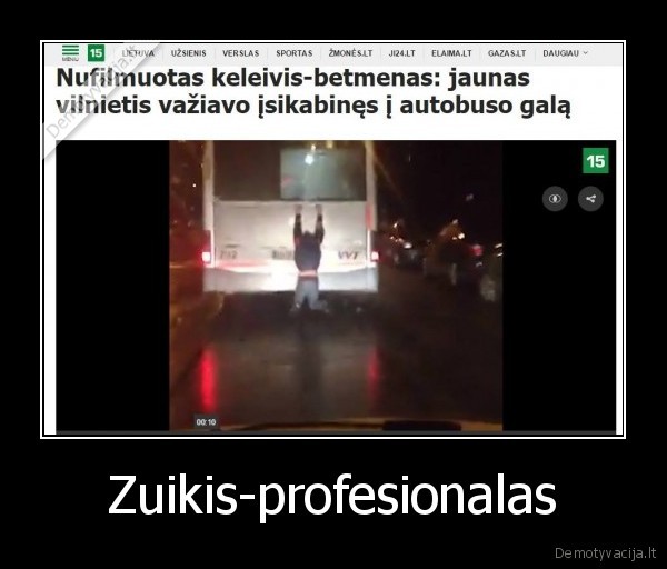 zuikis,autobusas