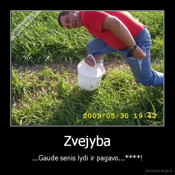 Zvejyba
