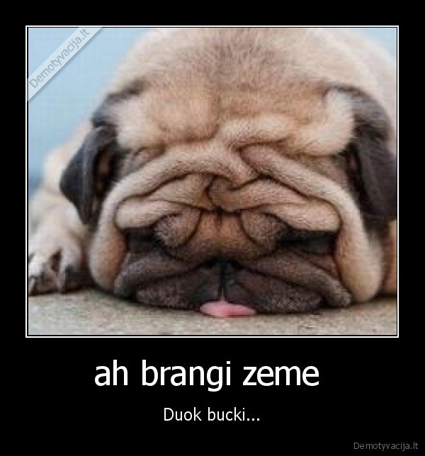ah brangi zeme 