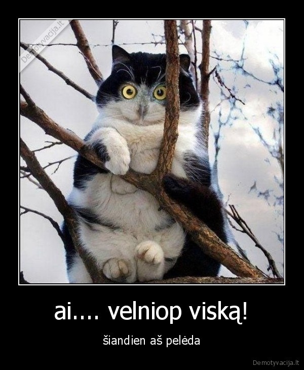 ai.... velniop viską!