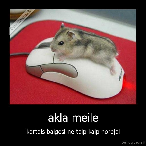 pele, maile, myliu, sexas, sex, funny, fun, fail, failure, shit, xd