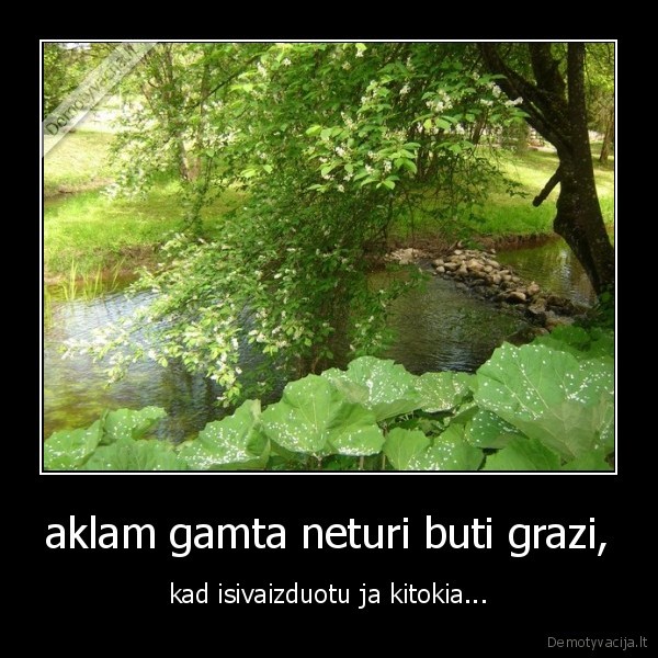 zmogus