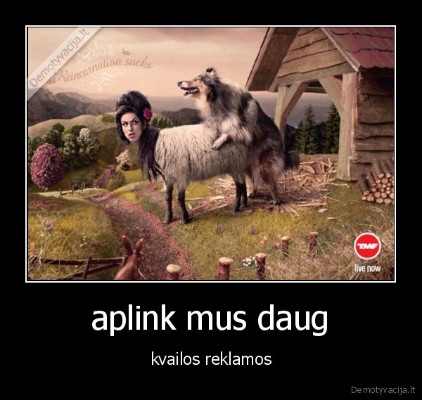 avis,suo,reklama