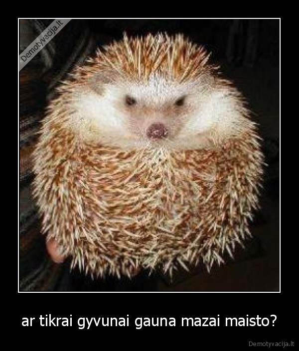 ar tikrai gyvunai gauna mazai maisto?